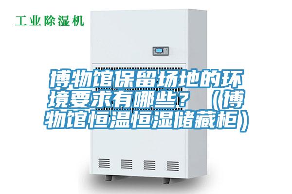 博物館保留場地的環(huán)境要求有哪些？（博物館恒溫恒濕儲藏柜）