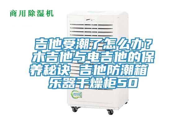 吉他受潮了怎么辦？木吉他與電吉他的保養(yǎng)秘訣 吉他防潮箱 樂器干燥柜50