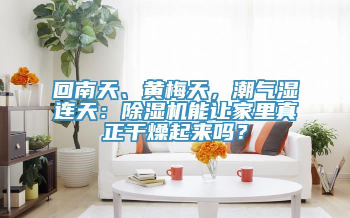 回南天、黃梅天，潮氣濕連天：除濕機(jī)能讓家里真正干燥起來嗎？