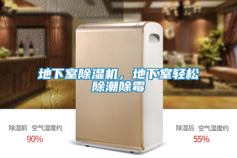 地下室除濕機，地下室輕松除潮除霉