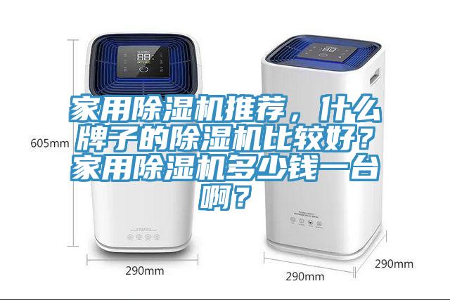 家用除濕機(jī)推薦，什么牌子的除濕機(jī)比較好？家用除濕機(jī)多少錢(qián)一臺(tái)啊？