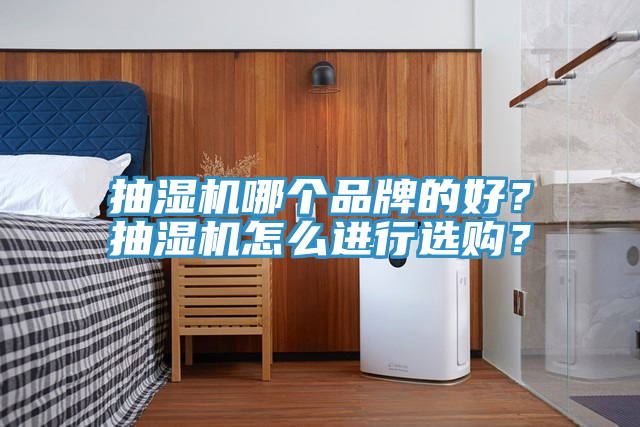 抽濕機哪個品牌的好？抽濕機怎么進行選購？