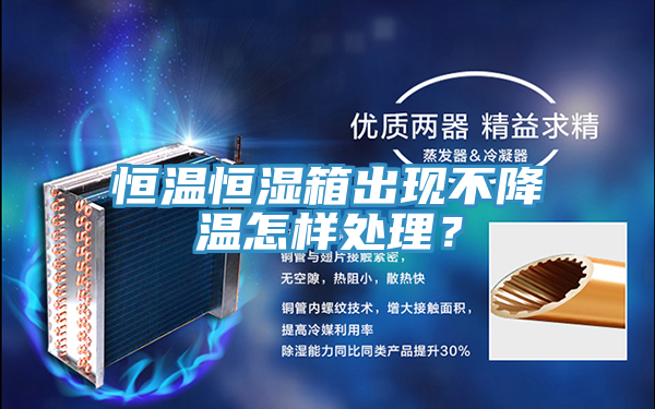 恒溫恒濕箱出現(xiàn)不降溫怎樣處理？