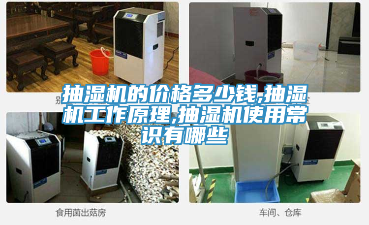 抽濕機(jī)的價(jià)格多少錢(qián),抽濕機(jī)工作原理,抽濕機(jī)使用常識(shí)有哪些