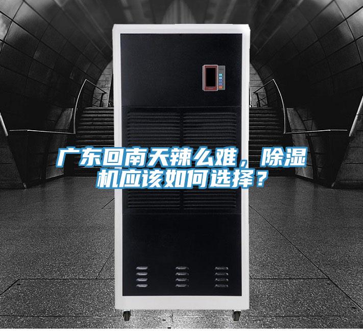 廣東回南天辣么難，除濕機(jī)應(yīng)該如何選擇？