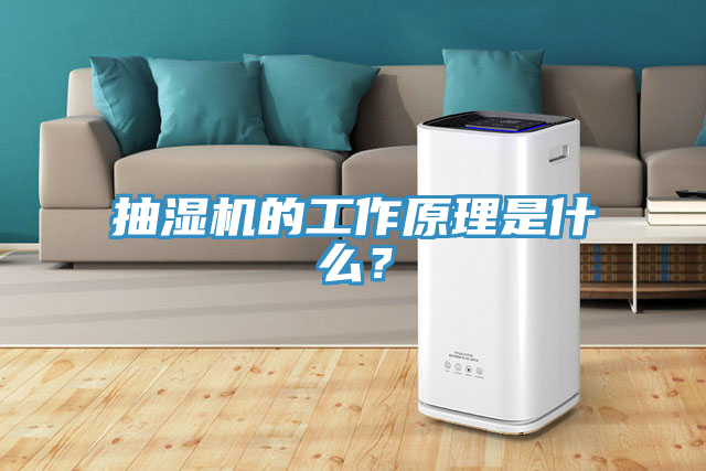抽濕機(jī)的工作原理是什么？