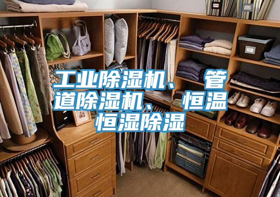 工業(yè)除濕機、 管道除濕機、 恒溫恒濕除濕