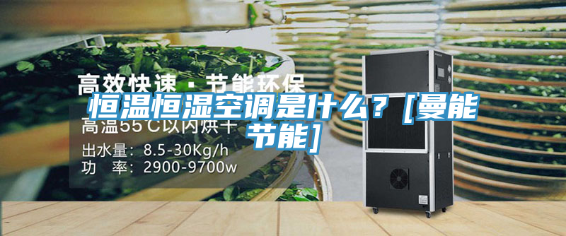 恒溫恒濕空調(diào)是什么？[曼能節(jié)能]