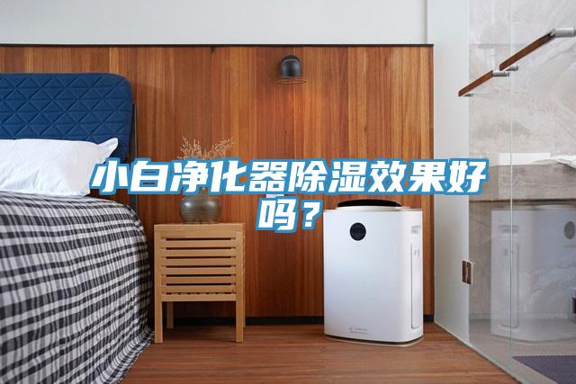 小白凈化器除濕效果好嗎？