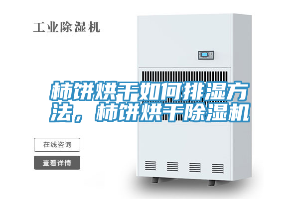 柿餅烘干如何排濕方法，柿餅烘干除濕機