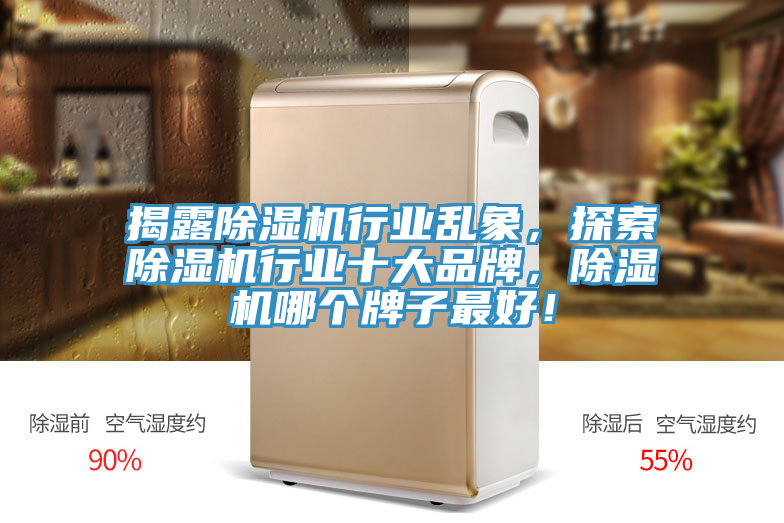 揭露除濕機行業(yè)亂象，探索除濕機行業(yè)十大品牌，除濕機哪個牌子最好！