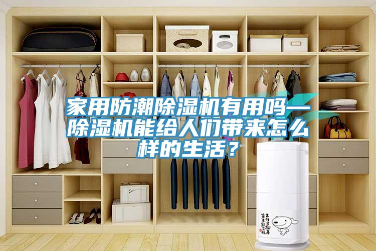 家用防潮除濕機有用嗎—除濕機能給人們帶來怎么樣的生活？