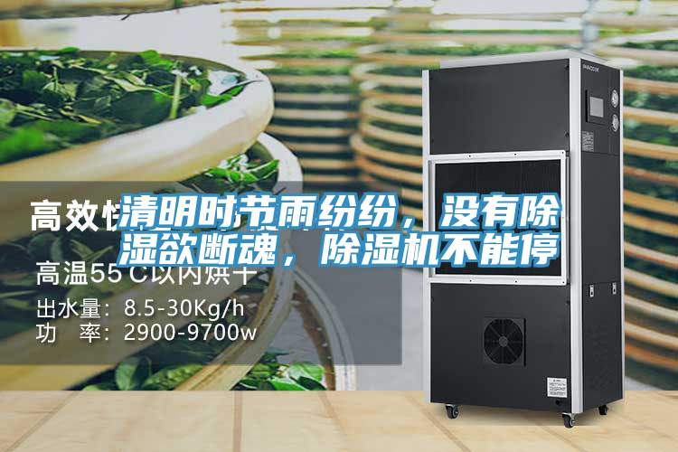 清明時(shí)節(jié)雨紛紛，沒(méi)有除濕欲斷魂，除濕機(jī)不能停