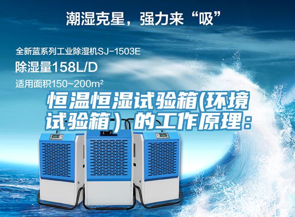 恒溫恒濕試驗(yàn)箱(環(huán)境試驗(yàn)箱)的工作原理: