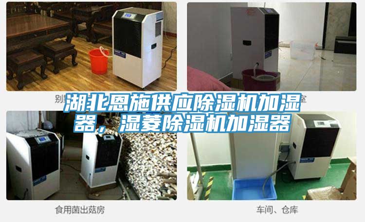 湖北恩施供應(yīng)除濕機(jī)加濕器，濕菱除濕機(jī)加濕器