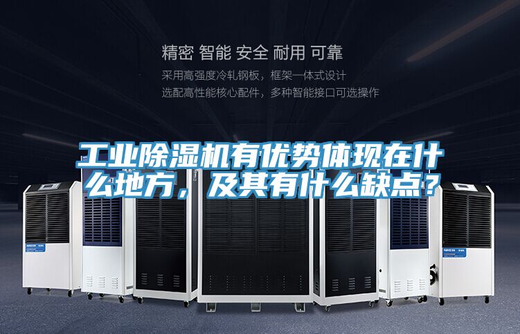工業(yè)除濕機有優(yōu)勢體現(xiàn)在什么地方，及其有什么缺點？