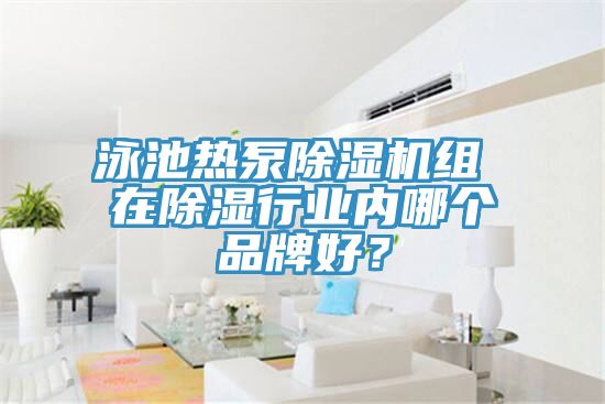 泳池?zé)岜贸凉駲C組 在除濕行業(yè)內(nèi)哪個品牌好？