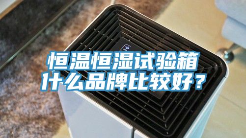恒溫恒濕試驗箱什么品牌比較好？