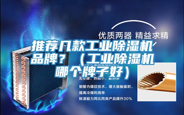 推薦幾款工業(yè)除濕機(jī)品牌？（工業(yè)除濕機(jī)哪個(gè)牌子好）