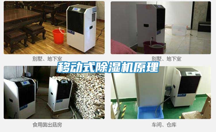 移動式除濕機(jī)原理