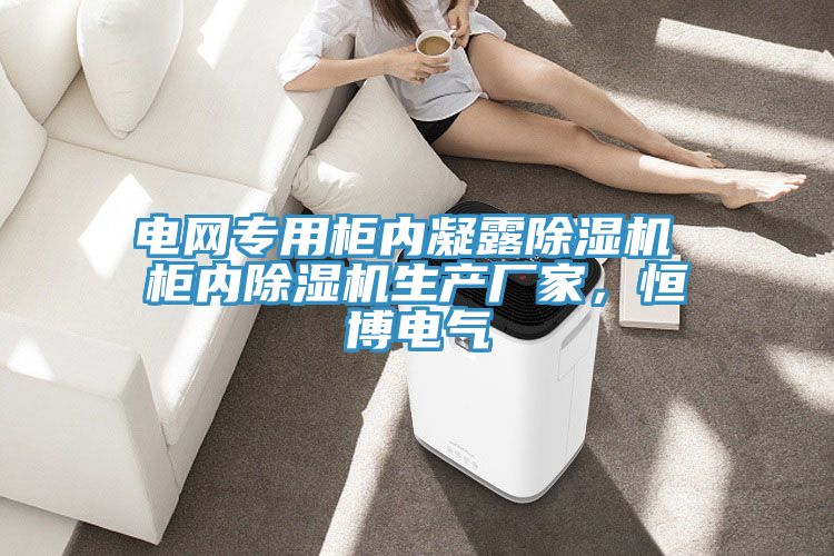 電網(wǎng)專用柜內(nèi)凝露除濕機(jī) 柜內(nèi)除濕機(jī)生產(chǎn)廠家，恒博電氣