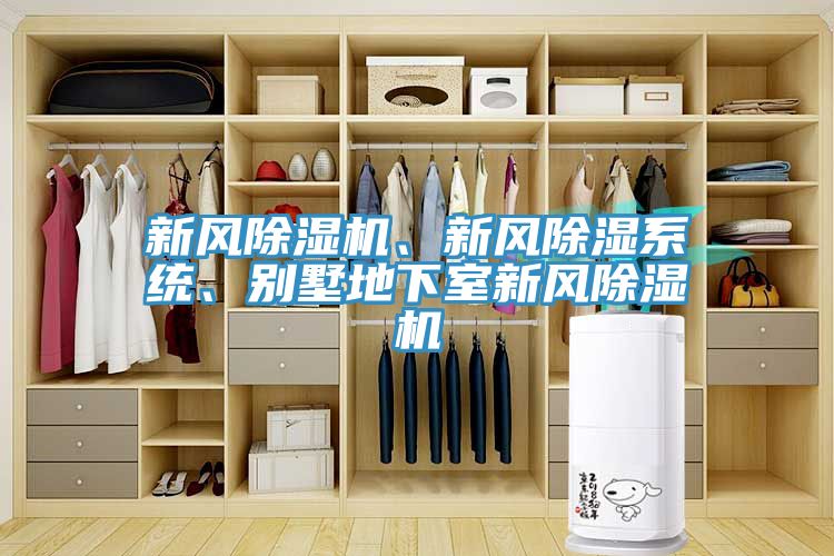 新風除濕機、新風除濕系統(tǒng)、別墅地下室新風除濕機