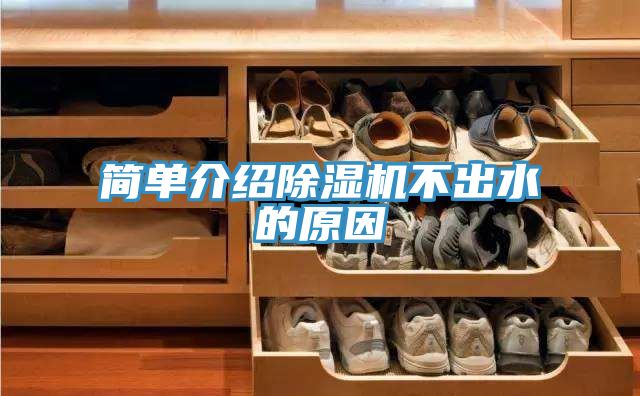 簡(jiǎn)單介紹除濕機(jī)不出水的原因