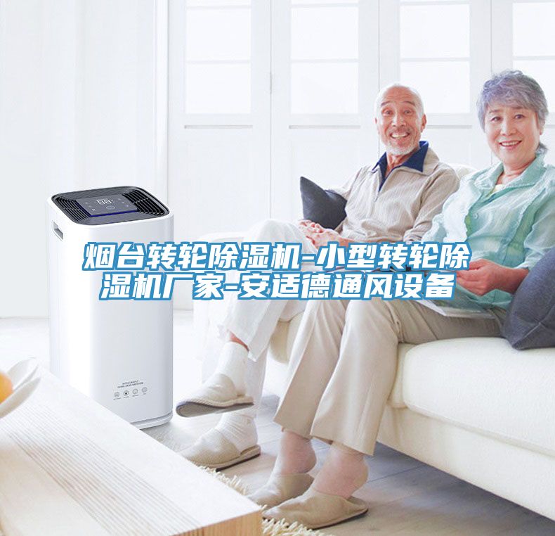 煙臺轉(zhuǎn)輪除濕機-小型轉(zhuǎn)輪除濕機廠家-安適德通風(fēng)設(shè)備