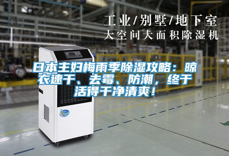 日本主婦梅雨季除濕攻略：晾衣速干、去霉、防潮，終于活得干凈清爽！