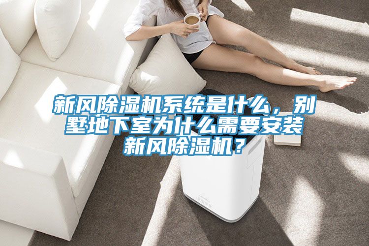 新風(fēng)除濕機(jī)系統(tǒng)是什么，別墅地下室為什么需要安裝新風(fēng)除濕機(jī)？