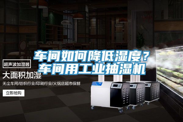 車間如何降低濕度？車間用工業(yè)抽濕機(jī)