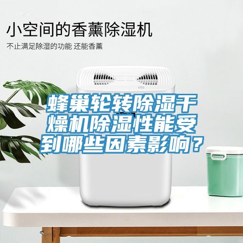 蜂巢輪轉(zhuǎn)除濕干燥機除濕性能受到哪些因素影響？