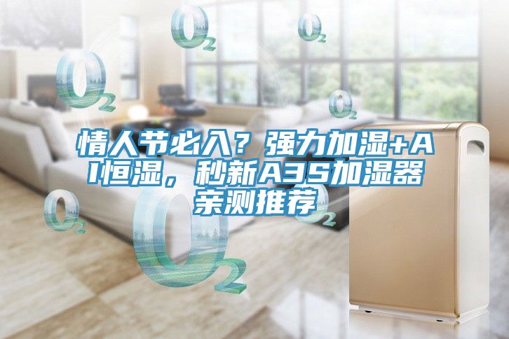 情人節(jié)必入？強力加濕+AI恒濕，秒新A3S加濕器親測推薦