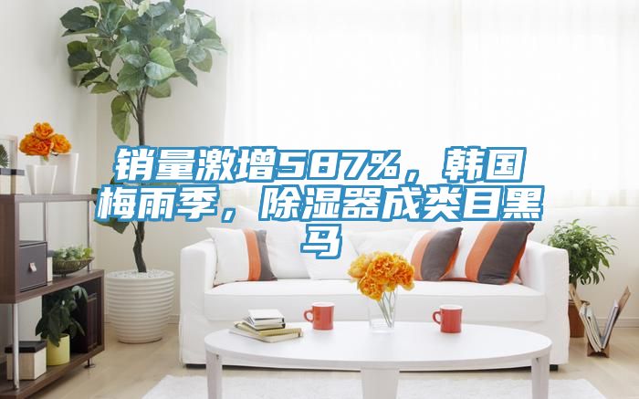 銷量激增587%，韓國梅雨季，除濕器成類目黑馬