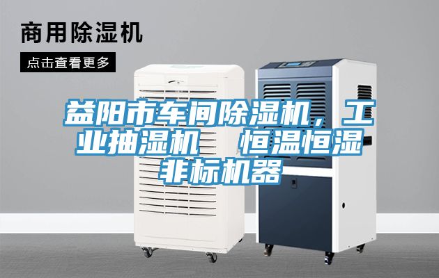 益陽市車間除濕機(jī)，工業(yè)抽濕機(jī)  恒溫恒濕非標(biāo)機(jī)器