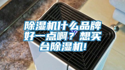 除濕機什么品牌好一點??？想買臺除濕機!