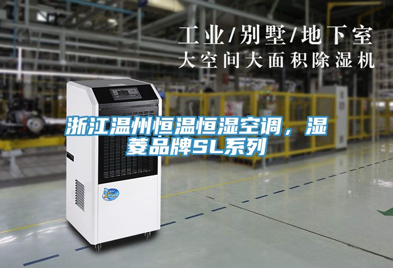 浙江溫州恒溫恒濕空調(diào)，濕菱品牌SL系列