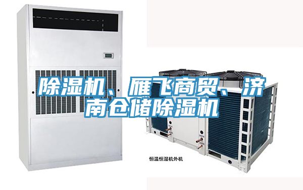 除濕機(jī)、雁飛商貿(mào)、濟(jì)南倉(cāng)儲(chǔ)除濕機(jī)