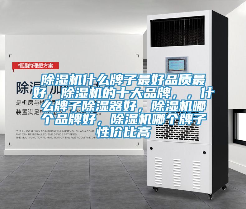 除濕機(jī)什么牌子最好品質(zhì)最好，除濕機(jī)的十大品牌，，什么牌子除濕器好，除濕機(jī)哪個品牌好，除濕機(jī)哪個牌子性價比高