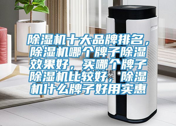 除濕機(jī)十大品牌排名，除濕機(jī)哪個(gè)牌子除濕效果好，買(mǎi)哪個(gè)牌子除濕機(jī)比較好，除濕機(jī)什么牌子好用實(shí)惠