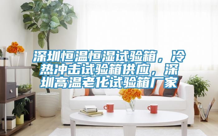 深圳恒溫恒濕試驗箱，冷熱沖擊試驗箱供應(yīng)，深圳高溫老化試驗箱廠家