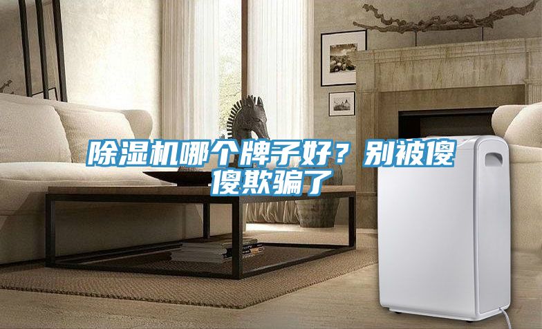 除濕機(jī)哪個(gè)牌子好？別被傻傻欺騙了