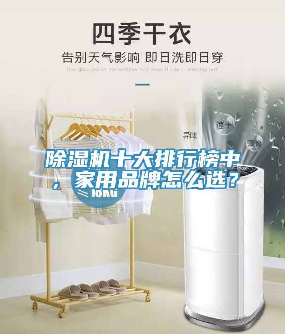 除濕機(jī)十大排行榜中，家用品牌怎么選？