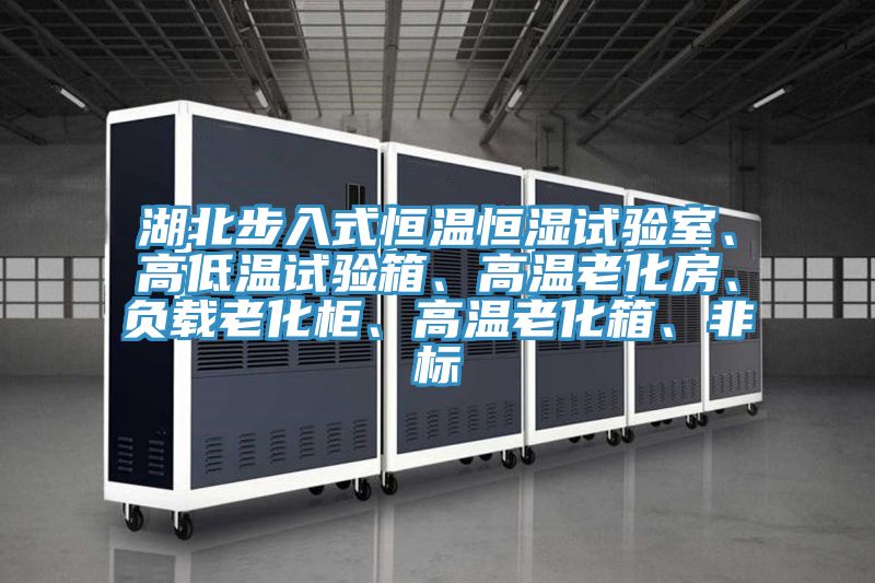 湖北步入式恒溫恒濕試驗(yàn)室、高低溫試驗(yàn)箱、高溫老化房、負(fù)載老化柜、高溫老化箱、非標(biāo)