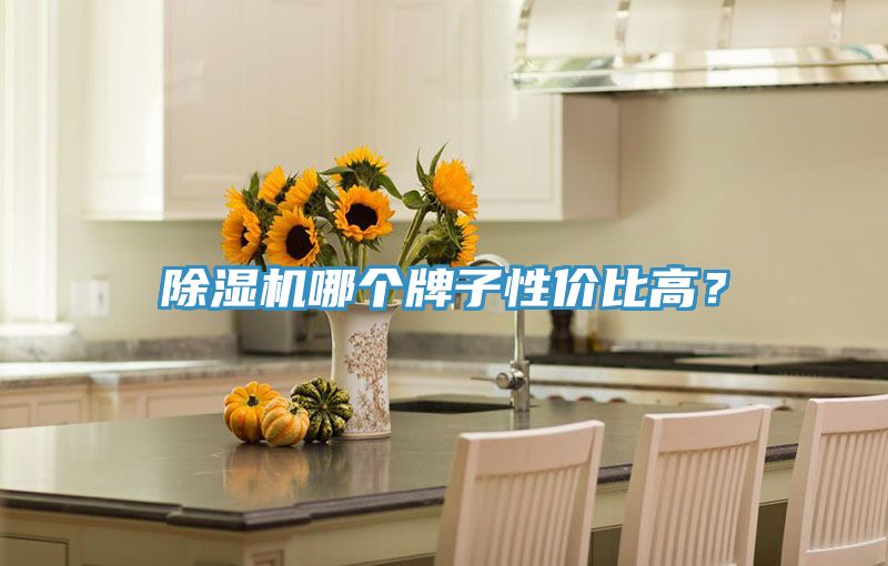 除濕機(jī)哪個(gè)牌子性價(jià)比高？