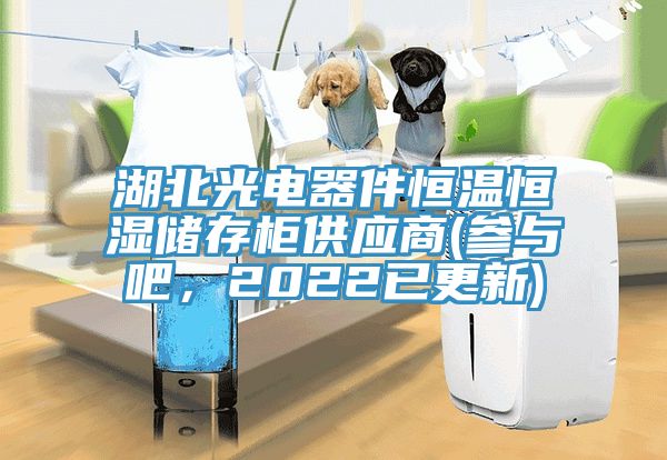 湖北光電器件恒溫恒濕儲(chǔ)存柜供應(yīng)商(參與吧，2022已更新)