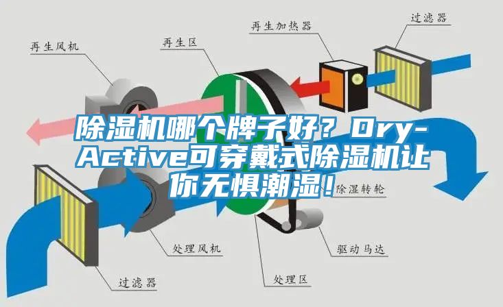 除濕機(jī)哪個(gè)牌子好？Dry-Active可穿戴式除濕機(jī)讓你無懼潮濕！