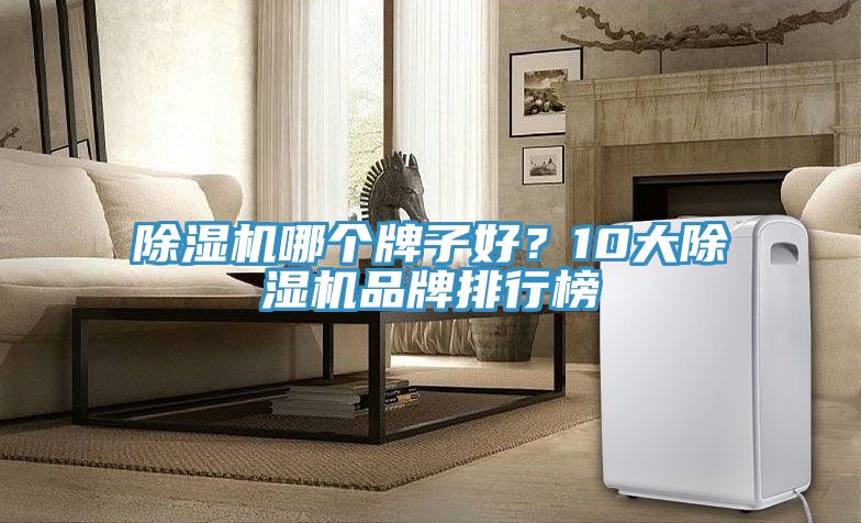 除濕機(jī)哪個(gè)牌子好？10大除濕機(jī)品牌排行榜