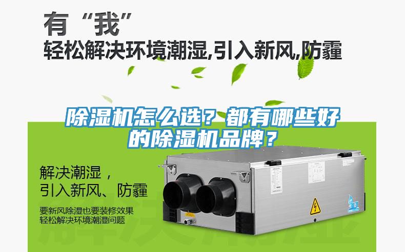 除濕機怎么選？都有哪些好的除濕機品牌？
