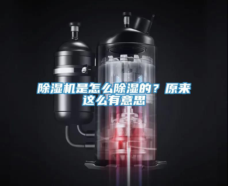 除濕機是怎么除濕的？原來這么有意思